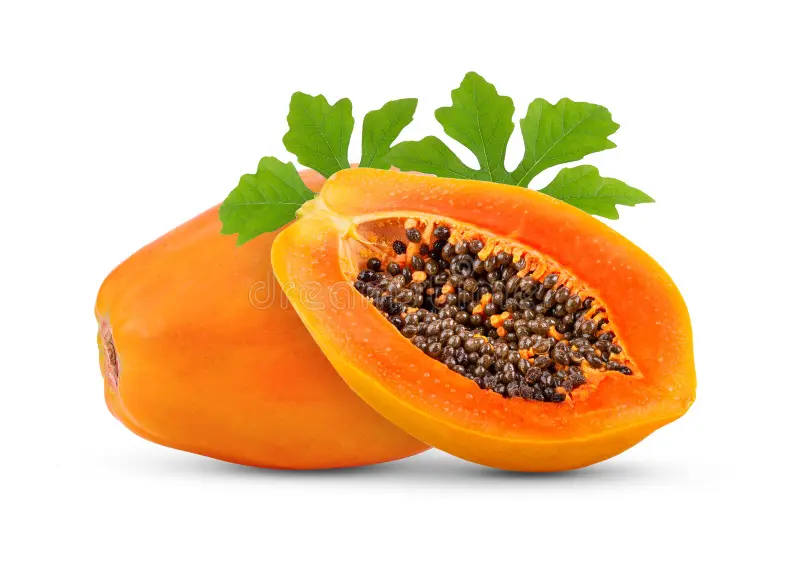Papaya India 