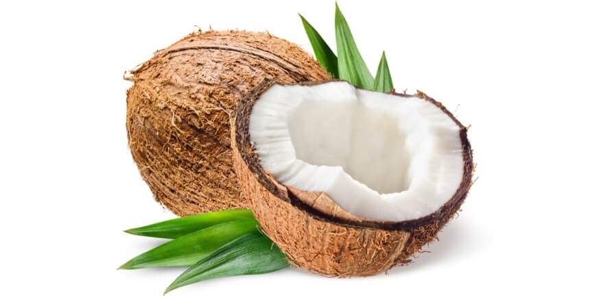 Coconut India 