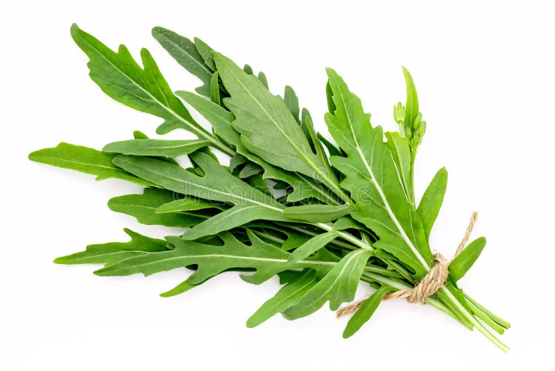 Arugula Kuwait 