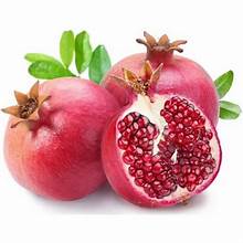 2kg رمان الهند 