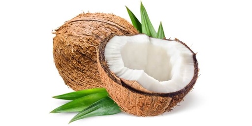Coconut India 