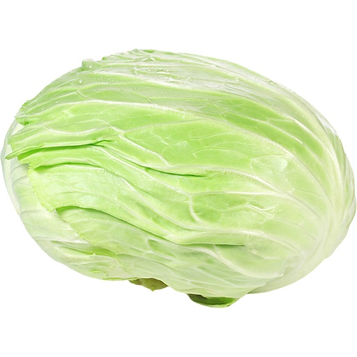 1.500 ملفوف ابيض اردني