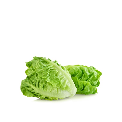 Romaine Lettuce Jordan 1kg