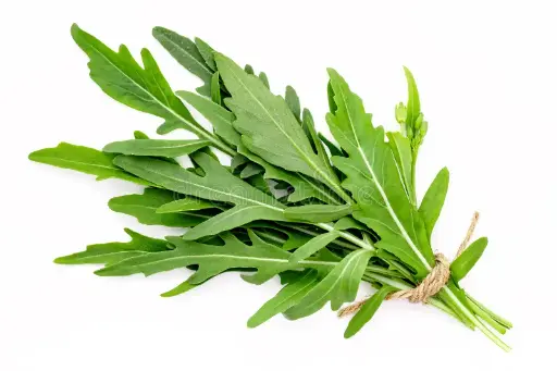 جرجير الكويت 