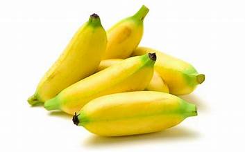 Colombian Baby Banana 